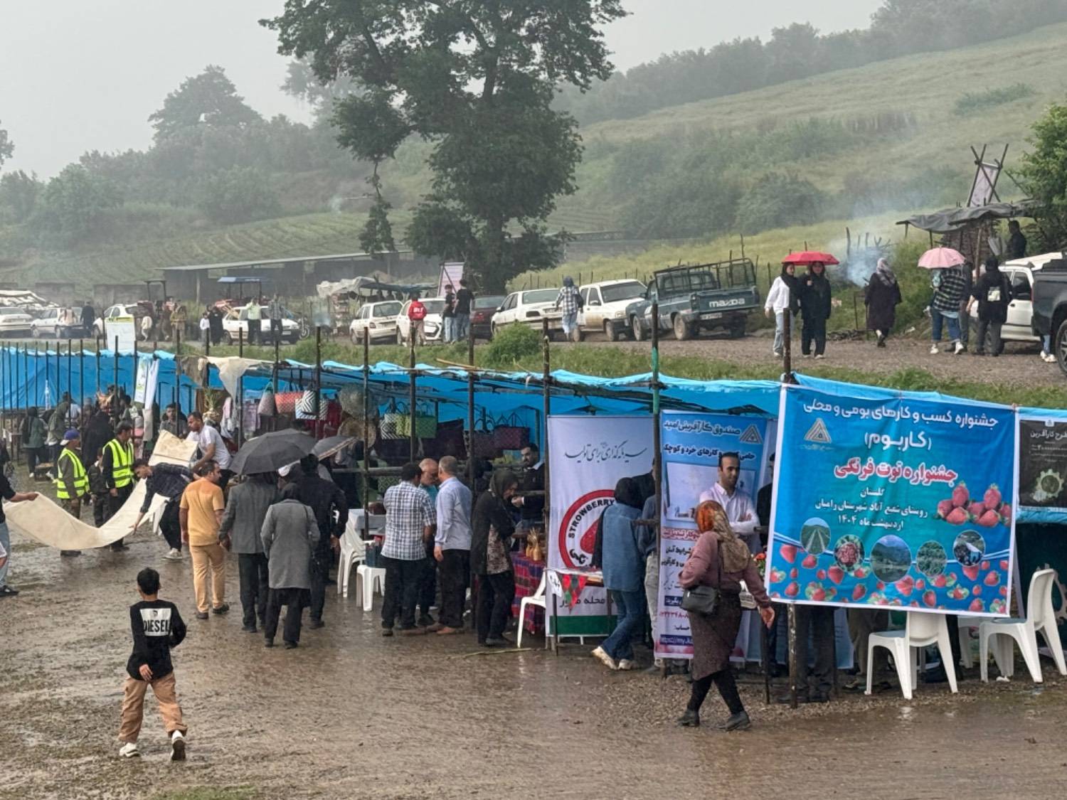 جشنواره توت فرنگی شفیع‌آباد رامیان با همکاری صندوق کارآفرینی امید