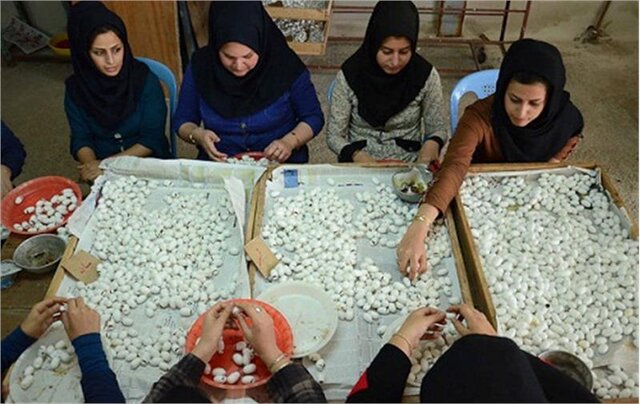 صندوق کارآفرینی امید همدان سه هزار و ۴۰۰ میلیارد ریال تسهیلات اشتغال پرداخت کرد