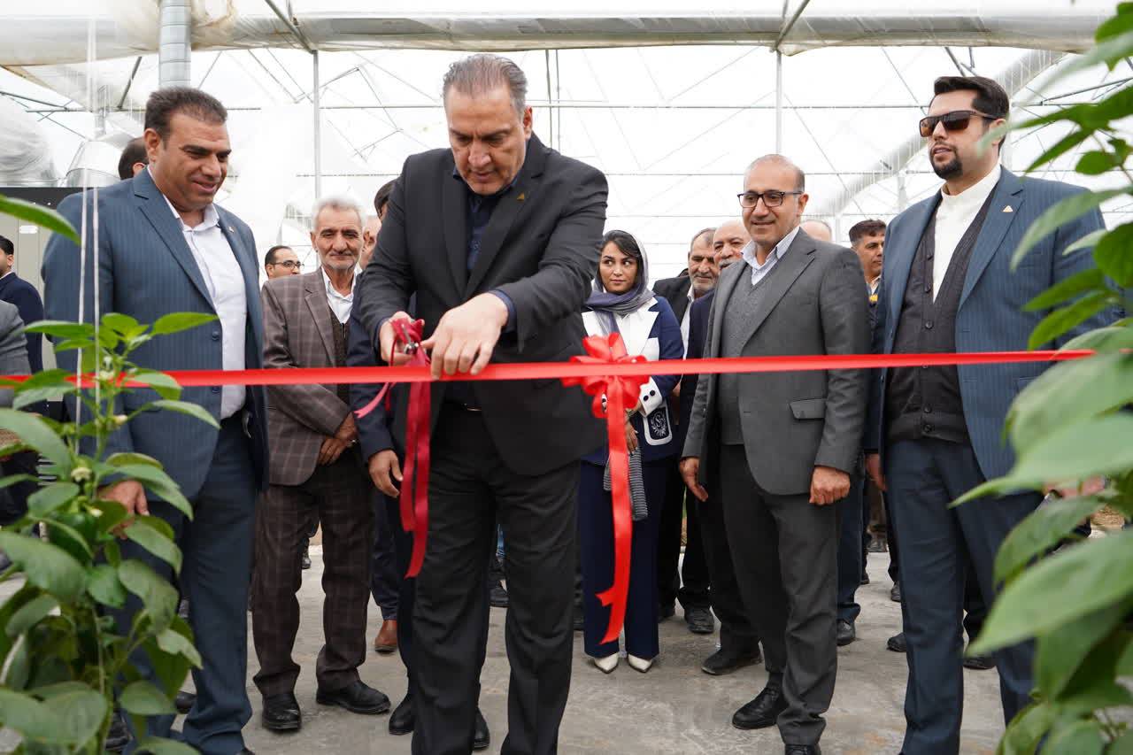 افتتاح طرح گلخانه‌ایی بانوی کارآفرین در پاسارگاد با حمایت صندوق کارآفرینی امید