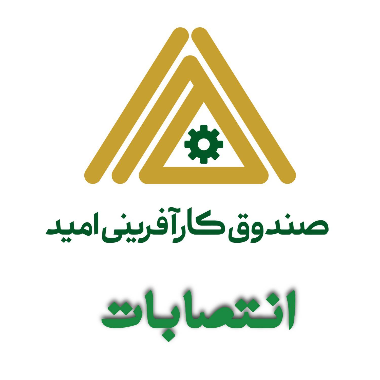فرزام پیروی سرپرست معاونت اعتبارات صندوق کارآفرینی امید شد