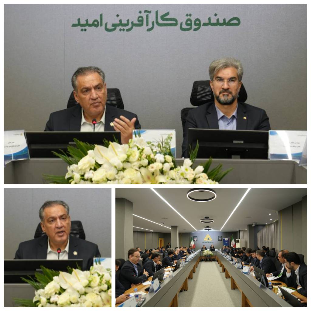 ضیائی: هدف صندوق فقط پرداخت تسهیلات نیست؛ آینده مشاغل مورد حمایت را با ابزارهای هوشمند تضمین می‌کنیم