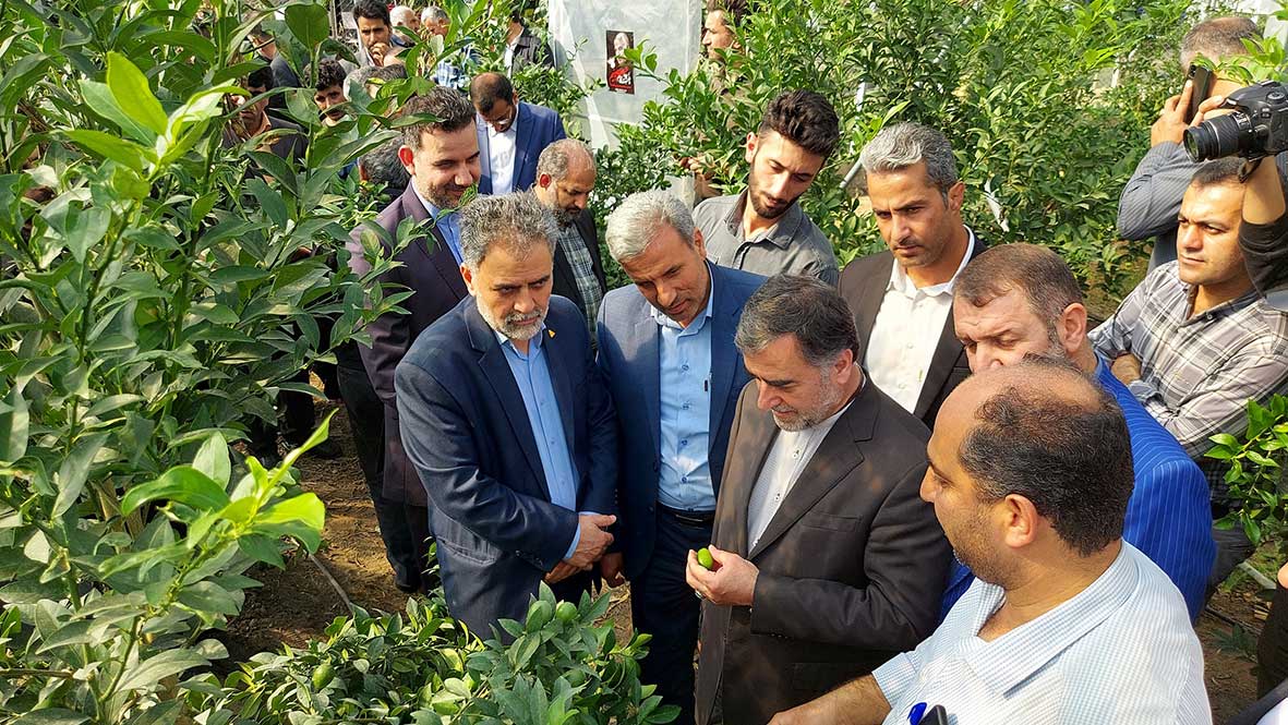 ۷۲ واحد گلخانه لیموترش در روستای خرماکلای قائمشهر افتتاح شد