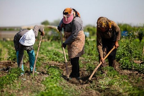 اعلام اولویت‌های مشاغل در روستاهای استان کرمان