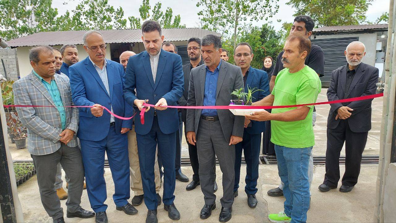 افتتاح گلخانه گل های زینتی با تسهیلات اشتغال زایی در مازندران