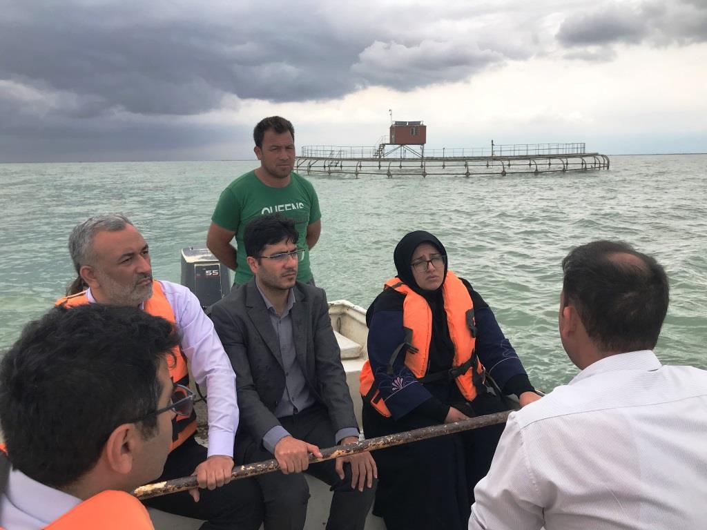 تصویب پرداخت 270 میلیارد ریال تسهیلات به طرح‌های پرورش ماهی در قفس و میگو در گلستان