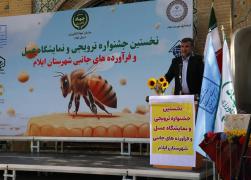 حمایت صندوق کارآفرینی امید از برگزیدگان نخستین جشنواره عسل ایلام