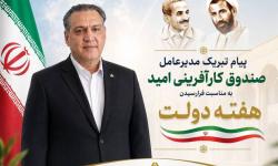 ضیایی: صندوق کارآفرینی امید، بازوی حمایتی دولت در مسیر توسعه اشتغال و تقویت کسب‌وکارهای خرد و کوچک است