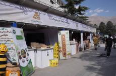 از معرفی خدمات حمایتی تا عرضه محصولات بومی؛ صندوق کارآفرینی امید در دومین روز نمایشگاه روستایی و عشایری