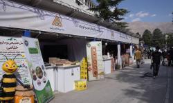 از معرفی خدمات حمایتی تا عرضه محصولات بومی؛ صندوق کارآفرینی امید در دومین روز نمایشگاه روستایی و عشایری
