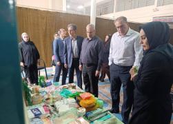 ضیایی: تقویت همکاری صندوق‌های خرد محلی با صندوق کارآفرینی امید، به توسعه ظرفیت‌های اشتغال کمک می‌کند