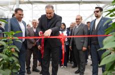 افتتاح طرح گلخانه‌ایی بانوی کارآفرین در پاسارگاد با حمایت صندوق کارآفرینی امید