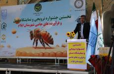 حمایت صندوق کارآفرینی امید از برگزیدگان نخستین جشنواره عسل ایلام