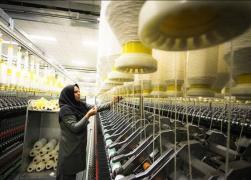 افزایش سهم بانوان در تخصیص تسهیلات حمایتی دولت در سال سرمایه گذاری برای تولید